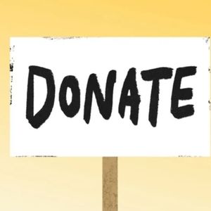 Evolution and Creation Elephant Print Leggings